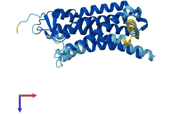 PSGR Protein (AA 1-320) (His tag)