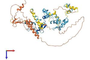 ZNF230 Protein (AA 1-474) (His tag)