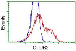 HEK293T cells transfected with either RC209650 overexpress plasmid (Red) or empty vector control plasmid (Blue) were immunostained by anti-OTUB2 antibody (ABIN2453409), and then analyzed by flow cytometry. (OTUB2 Antikörper)