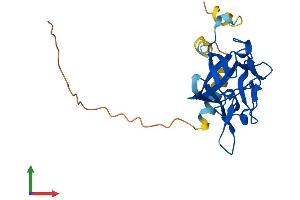 Protein Structure (PS) image for Fibroblast Growth Factor 16 (FGF16) (AA 1-207) protein (His tag) (ABIN7547703)