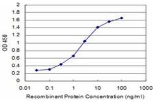Detection limit for recombinant GST tagged KLF1 is approximately 0. (KLF1 Antikörper  (AA 183-237))