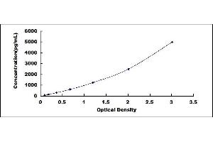 Typical standard curve (TDGF1 ELISA Kit)