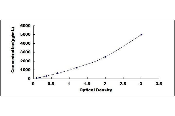 TDGF1 ELISA Kit