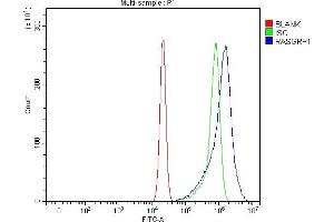 anti-RAS Guanyl Releasing Protein 1 (Calcium and DAG-Regulated) (RASGRP1) (AA 8-678) antibody