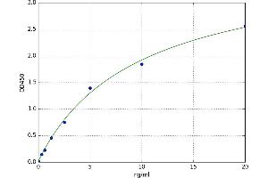 Neuropeptide Y Receptor Y1 (NPY1R) ELISA Kit