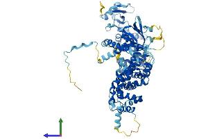 Protein Structure (PS) image for Engulfment and Cell Motility 3 (ELMO3) (AA 1-720) protein (His tag) (ABIN7559027)