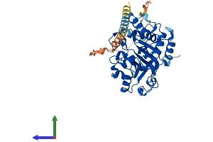 AlphaFold protein structure predicition of Mouse Recombinant St6gal1 Protein, UniprotID Q64685