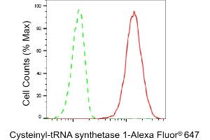 Flow cytometric analysis of Cysteinyl-tRNA synthetase 1 expression in HT- cells using Cysteinyl-tRNA synthetase 1 antibody (ABIN7800919), 1:2,000). (Rekombinanter Cysteinyl-TRNA Synthetase 1 Antikörper)