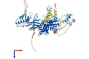 DDHD2 Protein (AA 1-699) (His tag)