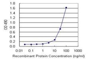 IL13 (Human) Matched Antibody Pair