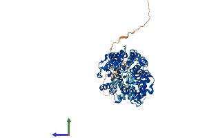 Protein Structure (PS) image for Solute Carrier Family 6 (Neurotransmitter Transporter, Dopamine), Member 3 (SLC6A3) (AA 1-620) protein (His tag) (ABIN7545909)