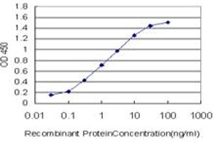 ELISA image for anti-BTB and CNC Homology 1, Basic Leucine Zipper Transcription Factor 1 (BACH1) (AA 396-492) antibody (ABIN560022)