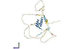 Protein Structure (PS) image for Homeobox B2 (HOXB2) (AA 1-356) protein (His tag) (ABIN7548377)