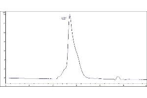 The purity of Human CD27, Fc Tag (Cat. (CD27 Protein (AA 21-192) (Fc Tag))