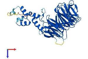 FBXW4 Protein (AA 1-410) (His tag)