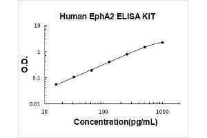 EPH Receptor A2 (EPHA2) ELISA Kit