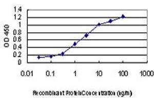 Detection limit for recombinant GST tagged DDIT3 is approximately 0. (DDIT3 Antikörper  (AA 1-90))