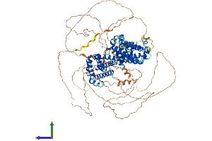 Protein Structure (PS) image for Regulatory Factor X, 1 (Influences HLA Class II Expression) (RFX1) (AA 1-979) protein (His tag) (ABIN7555164)