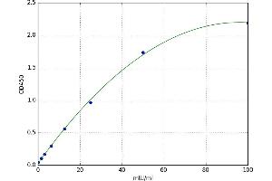 Aldehyde Dehydrogenase 1 Family, Member A1 (ALDH1A1) ELISA Kit