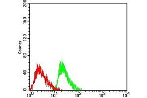 Flow cytometric analysis of HL-60 cells using ATXN1 mouse mAb (green) and negative control (red). (Ataxin 1 Antikörper  (AA 645-815))