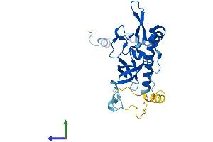 Protein Structure (PS) image for NSA2 Ribosome Biogenesis Homolog (NSA2) (AA 1-260) protein (His tag) (ABIN7549990)