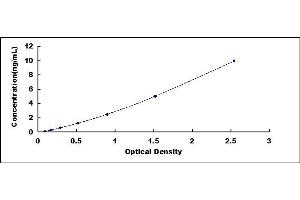 Typical standard curve (FOXP1 ELISA Kit)