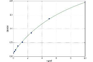 Kruppel-Like Factor 13 (KLF13) ELISA Kit