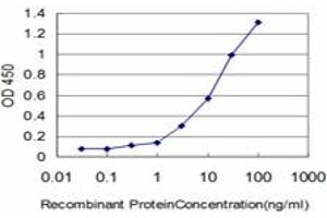 Detection limit for recombinant GST tagged IFI16 is approximately 0. (IFI16 Antikörper  (AA 630-729))