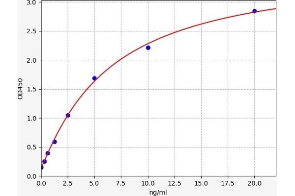 Caldesmon ELISA Kit