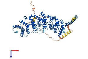 PPP2R5C Protein (AA 1-524) (His tag)