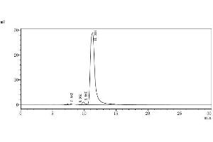 Signal-Regulatory Protein beta 1 (SIRPB1) (AA 30-371) (Active) protein (His tag)