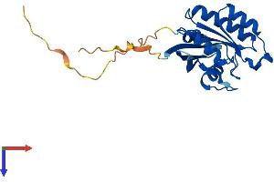 RAB5 Protein (AA 1-215) (His tag)