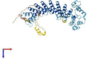 ASB10 Protein (AA 1-467) (His tag)