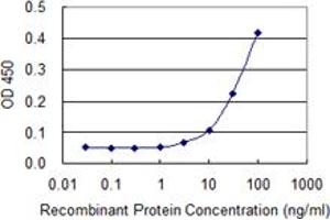 Detection limit for recombinant GST tagged SCG5 is 3 ng/ml as a capture antibody. (SCG5 Antikörper  (AA 59-159))