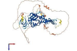 EXD1 Protein (AA 1-570) (His tag)