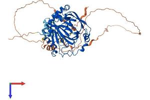 JMJD2D Protein (AA 1-523) (His tag)