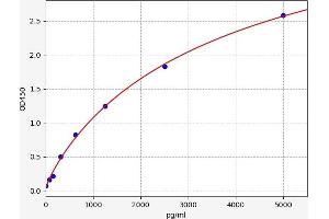 UCHL1 ELISA Kit