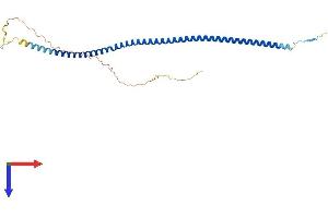 ARGLU1 Protein (AA 1-273) (His tag)