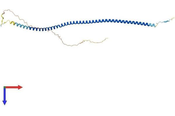 ARGLU1 Protein (AA 1-273) (His tag)