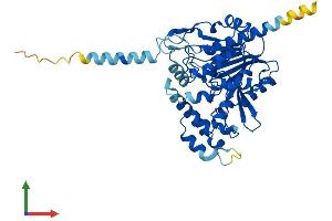 Protein Structure (PS) image for Abhydrolase Domain Containing 2 (ABHD2) (AA 1-425) protein (His tag) (ABIN7551823)