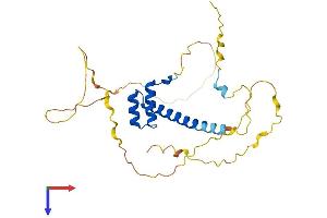 HMX2 Protein (AA 1-273) (His tag)