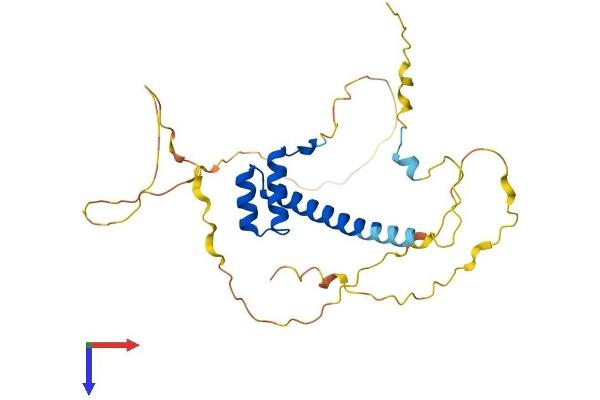 HMX2 Protein (AA 1-273) (His tag)