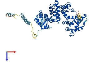 PPP2R3C Protein (AA 1-453) (His tag)