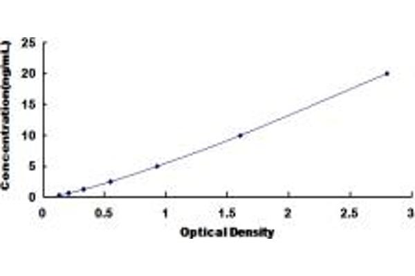 CHRNB3 ELISA Kit