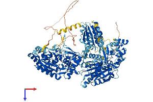 NOS2 Protein (AA 1-1144) (His tag)