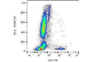 Surface staining of CD22 in human peripheral blood cells with anti-CD22 (IS7) PE. (CD22 Antikörper  (PE))