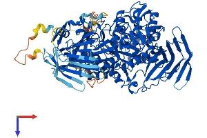 GANC Protein (AA 1-898) (His tag)