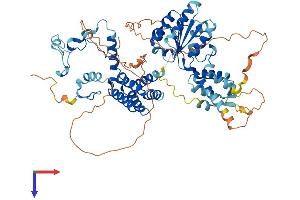 WRNIP1 Protein (AA 1-665) (His tag)
