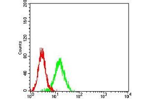 Flow cytometric analysis of K562 cells using CD195 mouse mAb (green) and negative control (red). (CCR5 Antikörper)