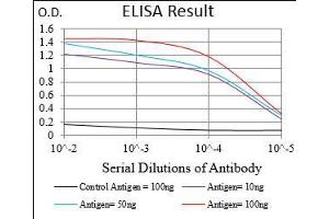 Black line: Control Antigen (100 ng), Purple line: Antigen(10 ng), Blue line: Antigen (50 ng), Red line: Antigen (100 ng), (PAPLN Antikörper  (AA 766-870))